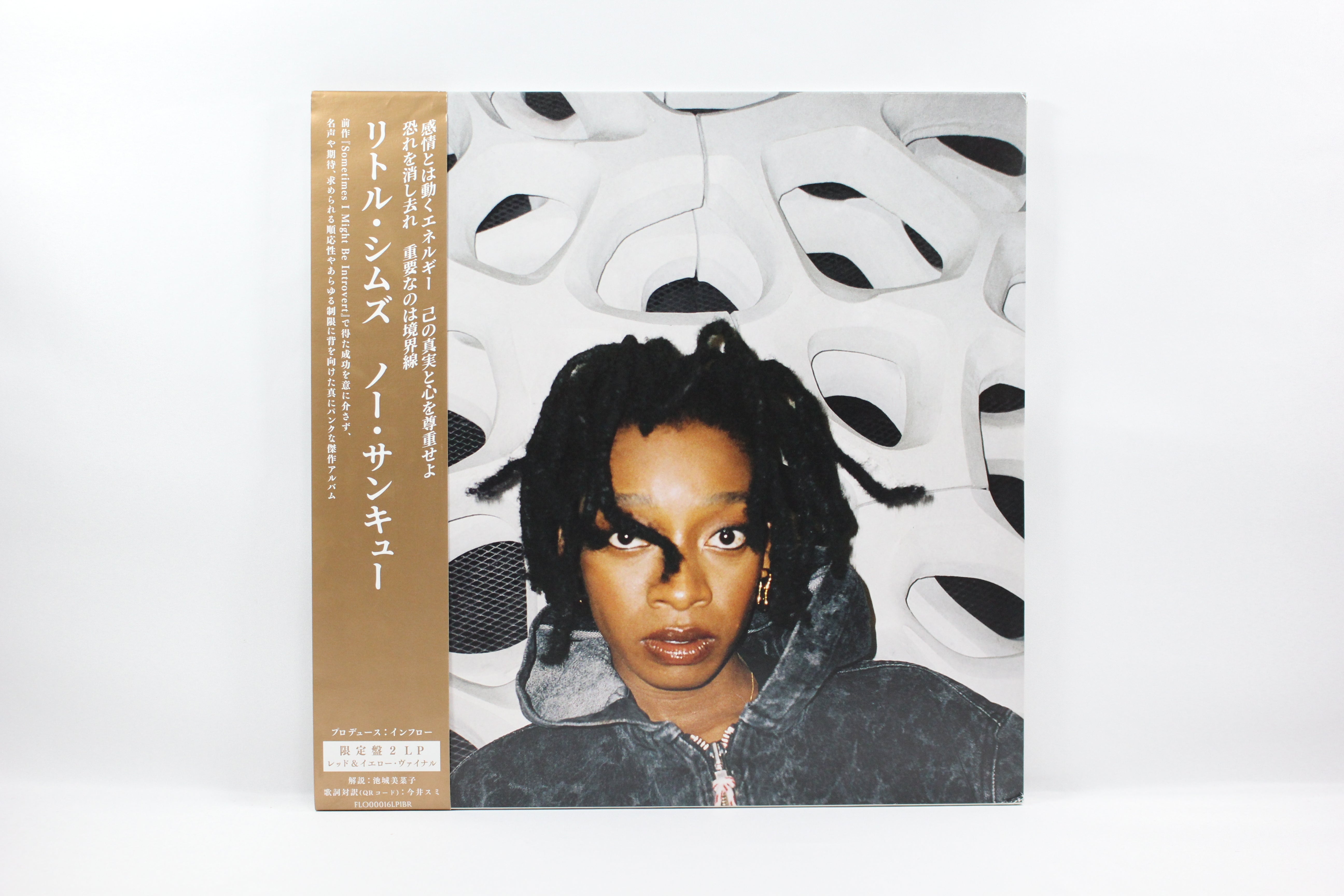 Little Simz “No Thank You”